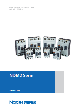 NDM2-Series-MCCB-Datasheet-Screenshot